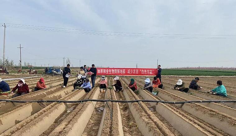 大荔县农技中心积极开展加厚高强度地膜和全生物降解地膜推广宣传