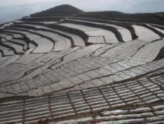 中国农用地膜应用技术变革与发展_搜狐科技