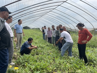 徽州区:全生物可降解农膜应用示范,变“有形塑料”为“无形肥料”_中安在线