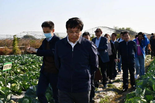 全国全生物降解地膜替代技术现场观摩交流会在宜兴召开