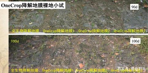 农业科技-地膜污染的解决方案,降解地膜浮出遭遇“滑铁卢”